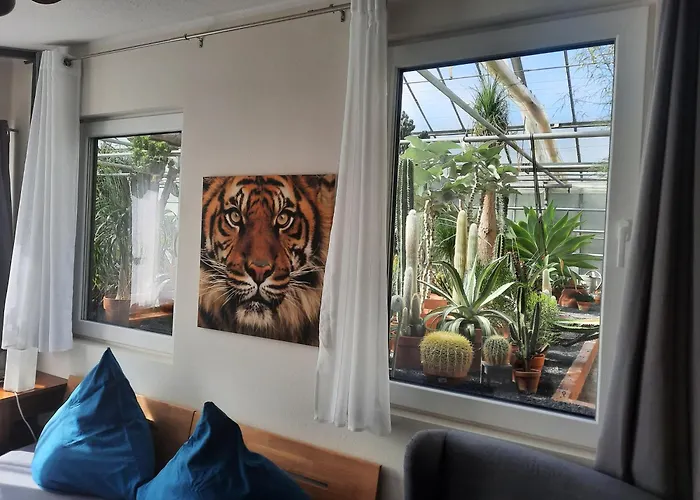 Mini-mexiko Διαμέρισμα *